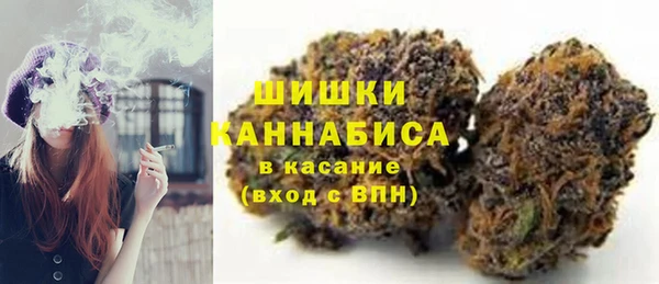 трава Ельня