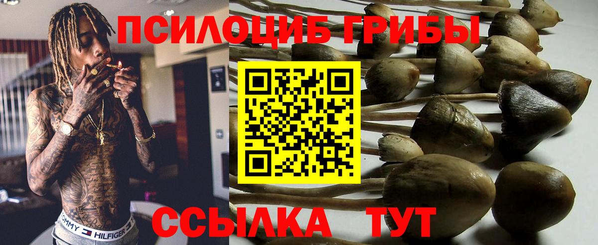 Псилоцибиновые грибы Magic Shrooms Дальнереченск