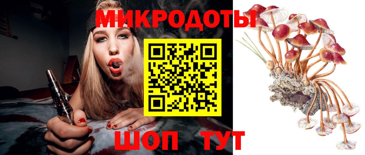 Дальнереченск  Псилоцибиновые грибы мицелий  Вход с VPN 